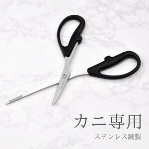 I ͂ Jj p nT~  k JjtH[N Lb`oT~ XeX| Lb`c[ ֗ObY