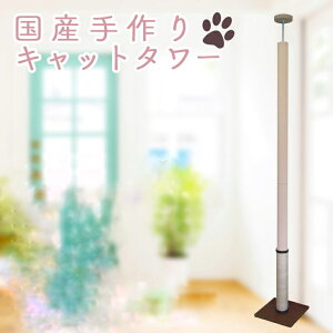 ILbg^[@VO^Cv@IȂ@|NNV[g × ꊪ@S̓{@ˍR肨͂@At^[tH[ob`I