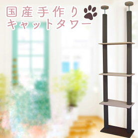 キャットタワー　ツインタワー　ツーポールタイプ　棚板3枚　低発泡ふわふわシートポール／お掃除ラクラクシート