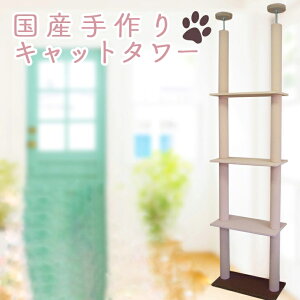 Lbg^[@cC^[@c[|[^Cv@I3@|NNV[g