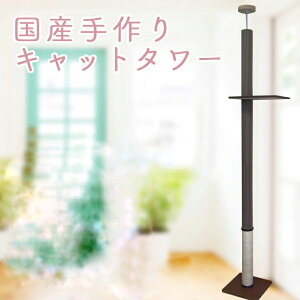 Lbg^[@VO^Cv@I1i_[NuEj@ᔭAӂӂV[g×ꊪ @S̓{@ˍR肨͂@At^[tH[ob`I