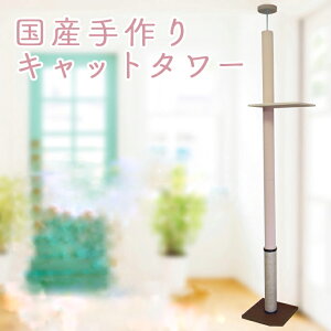 Lbg^[@VO^Cv@I1y炭炭|V[gzJ[ybg×ꊪ @S̓{@ˍR肨͂@At^[tH[ob`I