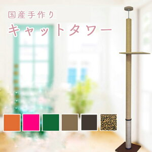 Lbg^[@VO^Cv@I1 J[ybg×ꊪ @S̓{@ˍR肨͂@At^[tH[ob`I