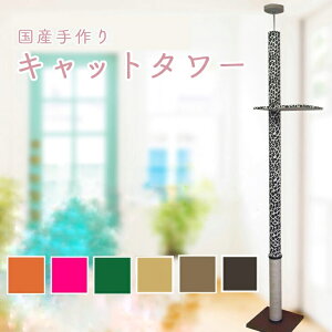 Lbg^[@VO^Cv@I1yqEzJ[ybg×ꊪ @S̓{@ˍR肨͂@At^[tH[ob`I