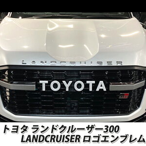 IWi LANDCRUISER ihN[U[300jp JX^SGu 5ށiVo[/S[h/}bgubN/Vo[fR/S[hfRjGu/SGu/JX^ h