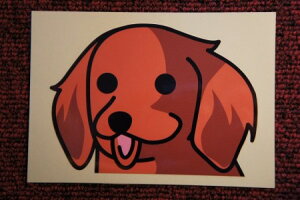 �y�l�R�|�X�֌���I���������z ���X�e�b�J�[�i�~�j�`���A�_�b�N�X�t���h�jINU/���`�[�t/���킢��/�I�V����/�X�e�b�J�[/GARAGE ILL�i�K���[�W�C���j