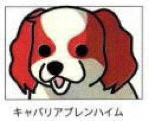 ���X�e�b�J�[�i�L���o���A�u�����n�C���j INU/���`�[�t/���킢��/�I�V����/�X�e�b�J�[/GARAGE ILL�i�K���[�W�C���j