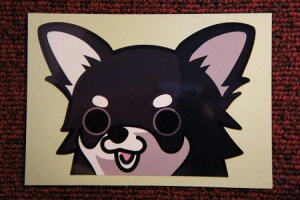 XebJ[i`/j INU/`[t/킢/IV/XebJ[/GARAGE ILLiK[WCj