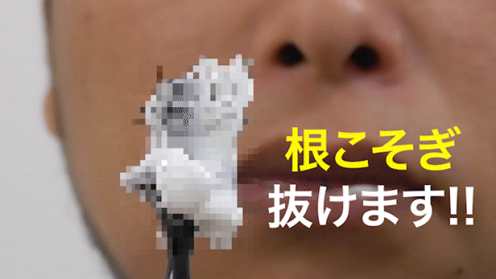 楽天市場】ワックス脱毛【両鼻12回分】 ノーズワックス 鼻毛ケア 鼻毛脱毛 粒タイプ ペーパー不要【メール便送料無料】鼻毛脱毛ワックス クレオパトラの一撃 ブラジリアンワックス 鼻毛 ワックス : セントクラフト 楽天市場】ワックス脱毛【両鼻12回分】 ノーズワックス 鼻毛ケア 鼻毛脱毛 粒タイプ ペーパー不要【メール便送料無料】鼻毛脱毛ワックス クレオパトラの一撃 ブラジリアンワックス 鼻毛 ワックス : セントクラフト