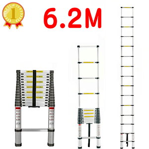 S ͂ 6.2m 6.20m 620cm Lk nVS nVS A~ X[p[_[ r 6.2m͂ Lk͂6.2m 5.4m蒷 5m蒷 6.3mZ֐ \ y | Ⴈ낵   X[p[_