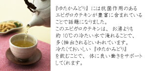 【鹿児島産ゆたかみどり100g】ゆうパケット送料無料世界一受けたい授業で話題!【smtb-t】【RCP】