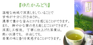 【鹿児島産ゆたかみどり100g】ゆうパケット送料無料世界一受けたい授業で話題!【smtb-t】【RCP】