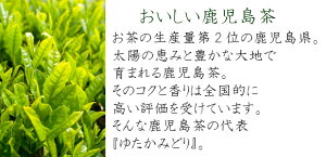 【鹿児島産ゆたかみどり100g】ゆうパケット送料無料世界一受けたい授業で話題!【smtb-t】【RCP】