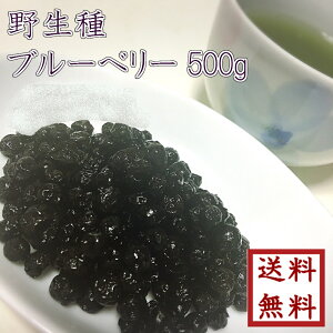 ドライフルーツ「ワイルドブルーベリー