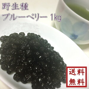 ワイルドブルーベリー