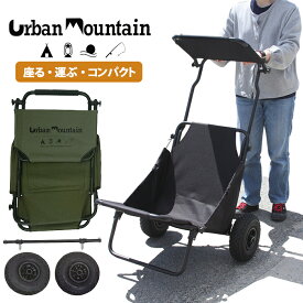 楽天市場 ビーチ キャリーの通販