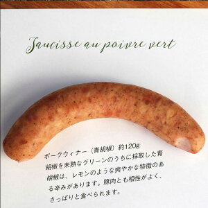 |[NEBi[iO[ybp[j120g@Ⓚ