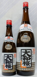 a@25x@Ē@1.8Lya𑢁z