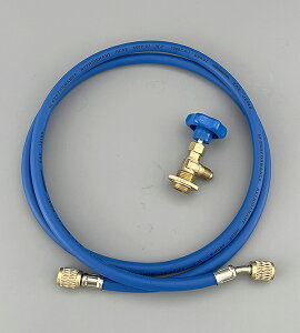 R12pȈ KX`[W(KX`[W[EGAREKX[U)