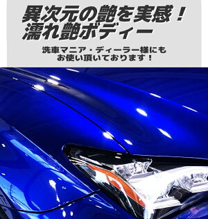 楽天市場 コーティング剤 車 コーティング剤 317 100ml単品 ガラス系コーティング剤 ガラスコーティング 車 バイク 洗車 送料無料 クリーンプロジャパン