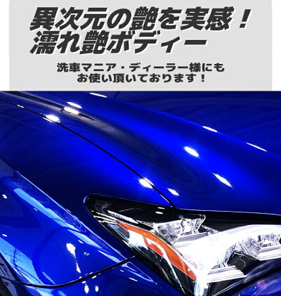 楽天市場 コーティング剤 車 コーティング剤 317 300ml単品 ガラス系コーティング剤 超撥水 ガラスコーティング車 バイク 成長系コーティング剤 全色対応 洗車 送料無料 クリーンプロジャパン