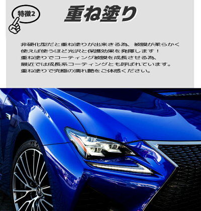 楽天市場 コーティング剤 車 コーティング剤 317 300ml単品 ガラス系コーティング剤 撥水 ガラスコーティング バイク 洗車 耐久 紫外線 Uv 透明 ツヤ 艶 保護 艶出しコート ワックス 送料無料 クリーンプロジャパン