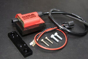 DILTS JAPAN�� GIGA�C�O�j�V�����R�C���K���F�_�b�N�X125(JB06)(ENIGMA SemiFull�������̓t�@�C���[�u�[�X�^�[������)