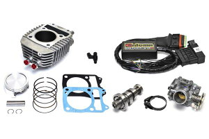 NbsO|Cg p[Abv181ccZbgKFCT125 n^[Ju(JA55)