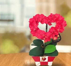 Ӓ }CNӒ v[g Mtg v[g    AW a ~j  JXj ~fB n[g^ v` G}  a JƏj JXj R`E  