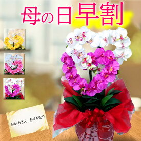 【今だけ★ポイント5倍】 母の日 胡蝶蘭 鉢植え 早割 ギフト 花 アレンジメント 送料無料 古希 造花 光触媒 開業祝い プレゼント おしゃれ 開店 黄色 ピンク ハート 造花 サロン インテリア 喜寿 米寿 内祝い 敬老の日 お買い物マラソン セール sale