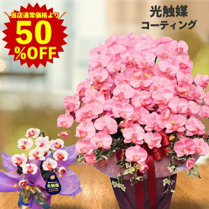 yX[p[SALE zzv[g   JXj  X^h Ӓ c sN G} 10{  Ε Mtg R`E a T ^ present  IV lC G