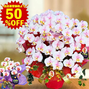 yX[p[SALE zza 50 Ӓ G}  v[g 7{ j JX F zCg sN ~fB   J ړ] ϗt ^ e@ T ؎D ٌm ݗ  