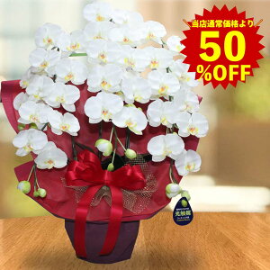 yX[p[SALE zzG} Ӓ    3{ p  Mtg v[g JXj D  CG[ F GXe J a Ê Ď җ P R`E ؎D  