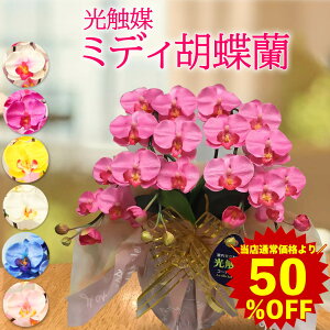 Ӓ ~fB  G} JXj ~j T Mtg v[g F    u[ sN C   C ̓  2{ J@  a  J[h   hV̓ 