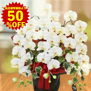 Ӓ 3{  JXj Mtg j A  Mtg ij v[g  J G} zCg ړ] a@ J@ 傫 Ê Ď @l  a B  傫  yb