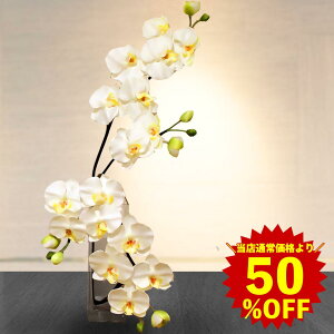 yX[p[SALE zz Ӓ G} Fl zj Mtg v[g Zu CeA }V KX ԕr  tFCN zCg Ԋ OX Mtg z ze r[