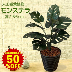 yX[p[SALE zztFCNO[ Xe  ϗtA  CeAO[ 썑 i`  rO zj JXj Vzj v[g Mtg G 