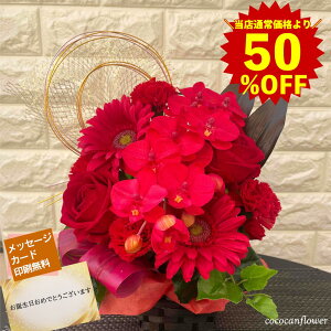 yX[p[SALE zzҗ AWg Ӓ  G}  bh KN K[x J[l[V hV̓ v[g  a bZ[W ~j v`Mtg j Ê S 