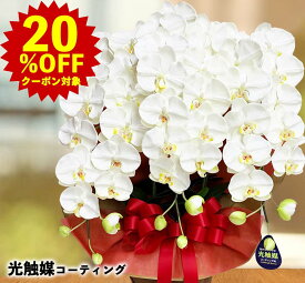 【20％OFFクーポン対象★P3倍】 母の日 胡蝶蘭 お祝い 光触媒 大輪 3本立ち 開店 大型 造花 事務所 特大 ホワイト LL 豪華 白 大きい 介護施設 開業 開設 ギフト プレゼント 内覧会 クリニック 開院 お供え 傘寿 喜寿 ジム 80才 90才 お買い物マラソン sale セール