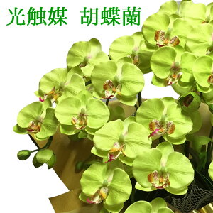  AMtg  ̓ a O[ IV CeA  ItBX  Fl zj Ӓ  JXj 7{ G} ~fB   J J@ Ε T 