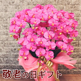 楽天市場 専門店のバラの鉢植え 花色が選べる 送料無料 デイリーローズ 誕生日プレゼント 結婚記念日 女性 誕生日 母 祖母 ギフト 花 還暦祝い 生花 退職祝い 男性 父 定年 送別会 結婚 お祝い 妻 鉢植え 寄植え 新築祝い 花鉢 バラ ミニバラ ミニバラ専門店