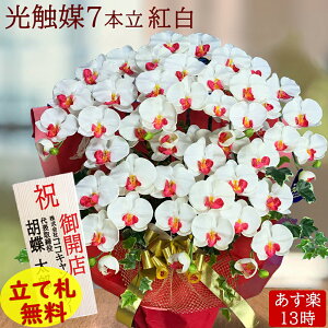  G} Ӓ Mtg Jݏj Ď j Ê Ӓ zCg v[g ~fB C R`E J J@ a  tFCN { T 傫 ؎D hV̓  