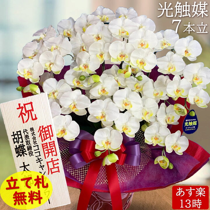 楽天市場 光触媒 胡蝶蘭 就任祝い 法人 ギフト 開店祝い お祝い 造花 開院 花 造花 インテリア 鉢植え 7本立ち 誕生日 開業 移転 敬老の日 お供え 長寿 プレゼント 大きい お供え 仏花 法要 白 黄色 クリニック 会社 周年 あす楽 送料無料