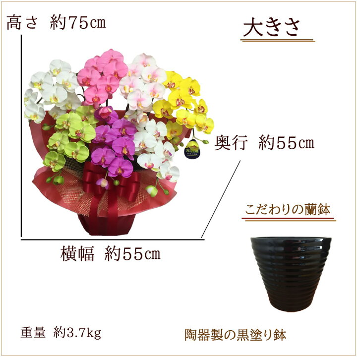 楽天市場 虹色 造花 大きい アレンジ 胡蝶蘭 開店祝い 鉢 カラフル ギフト プレゼント グッズ 背景 パーティ 飾り レインボー 虹 花 フラワー 7本立 誕生日 移転 就任 開業 Nizi 1周年 お祝い 和モダン 傘寿 還暦 古希 喜寿 100歳 楽天市場 虹色 造花 大きい アレンジ 胡蝶蘭 開店祝い 鉢 カラフル ギフト プレゼント グッズ 背景 パーティ 飾り レインボー 虹 花 フラワー 7本立 誕生日 移転 就任 開業 Nizi 1周年 お祝い 和モダン 傘寿 還暦 古希 喜寿 100歳