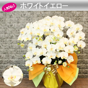 y500~OFFN[|Ώہz G} Ӓ ACj @l Mtg JXj j  J@   CeA A 7{ a J ړ]   v[g 傫   