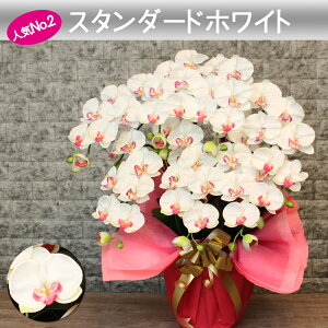 G} Ӓ ACj @l Mtg JXj j  J@   CeA A 7{ a J ړ]   v[g 傫    F NjbN  