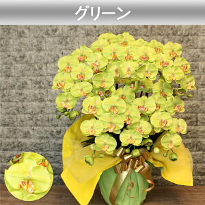 y500~OFFN[|Ώہz G} Ӓ ACj @l Mtg JXj j  J@   CeA A 7{ a J ړ]   v[g 傫   