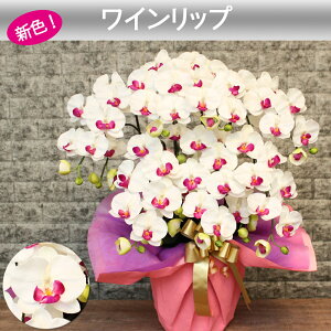 G} Ӓ ACj @l Mtg JXj j  J@   CeA A 7{ a J ړ]   v[g 傫    F NjbN  