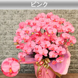 G} Ӓ ACj @l Mtg JXj j  J@   CeA A 7{ a J ړ]   v[g 傫    F NjbN  