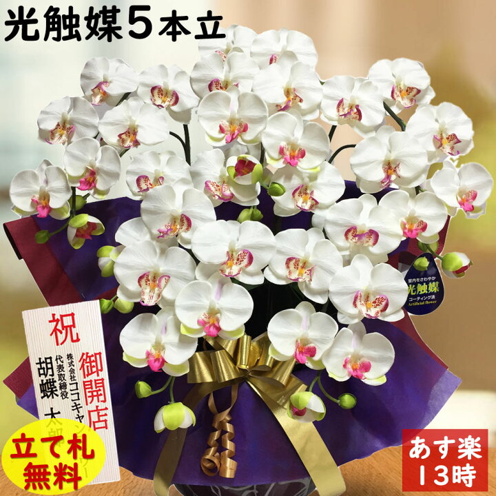 楽天市場 胡蝶蘭 開店祝い 花 鉢植え 造花 5本 大輪 ギフト 光触媒 白 移転 就任 昇進 退職 還暦 古希 喜寿 米寿 母の日 お歳暮 長寿 北海道 九州 誕生日 法人 会社 プレゼント 木札 ココキャンフラワー 造花の胡蝶蘭専門 Cococanフラワー 楽天市場 胡蝶蘭 開店祝い 花 鉢植え 造花 5本 大輪 ギフト 光触媒 白 移転 就任 昇進 退職 還暦 古希 喜寿 米寿 母の日 お歳暮 長寿 北海道 九州 誕生日 法人 会社 プレゼント 木札 ココキャンフラワー 造花の胡蝶蘭専門 Cococanフラワー